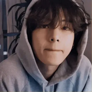 🐚 ca75a3e4 person, hoodie, man, portrait, casual, indoors telegram sticker