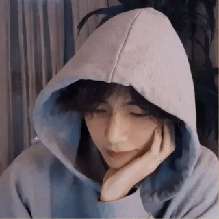 🐚 e1645dde person, hoodie, portrait, indoor, casual, young telegram sticker