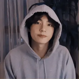 🐚 eb338543 person, hoodie, indoors, portrait telegram sticker