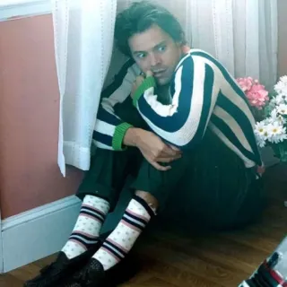 😳 1641b6f9 Harry Styles harry styles, cantante, celebridad, hombre, sentado, persona telegram sticker