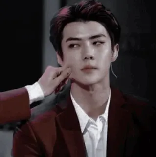 🐺 45ef7ed1 whatsapp sticker