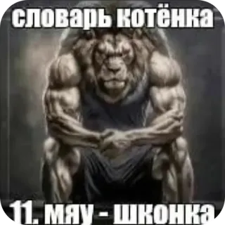 🥰 eedacf1f СЛОВАРЬ КОТЁНКА
11. МАУ - ШКОНКА Löwe, Meme, lustig, Text, muskulös, Katze, Tier, Slang whatsapp sticker