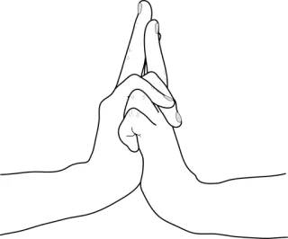 🐏 a64bb511 руки, жест whatsapp sticker