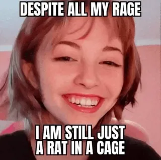 🏩 41153257 DESPITE ALL MY RAGE
I AM STILL JUST A RAT IN A CAGE rage, rat in a cage, meme, emotional, expression, lyrics telegram sticker