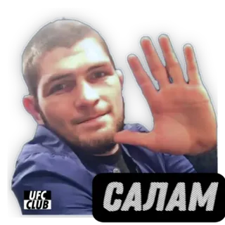 👋 124b097e Khabib Nurmagomedov САЛАМ ufc, võ sĩ, khabib, salam, mma telegram sticker