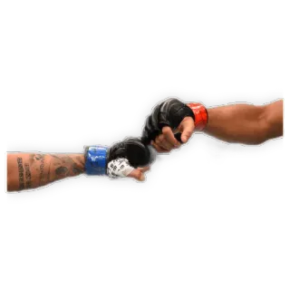 🤝 12996ad1 mma, đấu võ, thể thao, đấu vật, găng tay telegram sticker