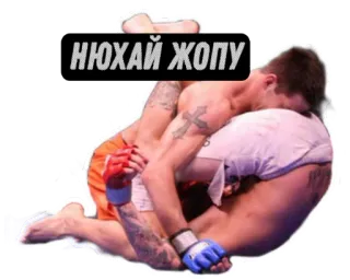 UFC CLUB @ufc_card telegram stickers