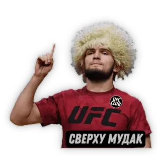 UFC CLUB @ufc_card telegram stickers