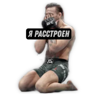 UFC CLUB @ufc_card telegram stickers