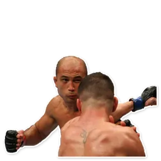 🐷 c11886a6 perkelahian, mma, olahraga, grappling, pertempuran whatsapp sticker
