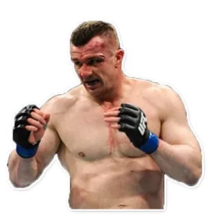 🐮 dcc1c6e3 perkelahian, mma, atlet, ufc, tinju whatsapp sticker