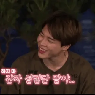 🥙 2bae487e 하지 마
진짜 설렌단 말야.. bahasa korea, frasa, pernyataan, jimin telegram sticker