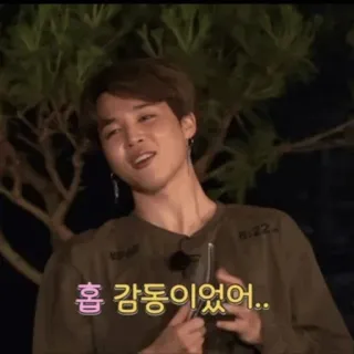 🍾 fbc2e588 흠 감동이었어.. korea, Jimin, frasa, ekspresi, reaksi, selebriti, K-pop telegram sticker