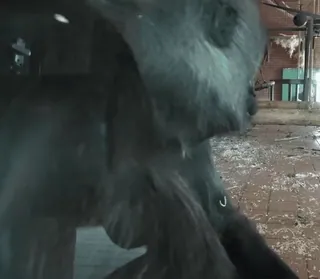 🤯 94734161 whatsapp sticker