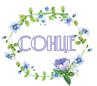 ☀️ b7b267ed СОНЦЕ 太阳, 花, 花卉, 乌克兰, 蓝色, 花环, 文字, 太阳 telegram sticker