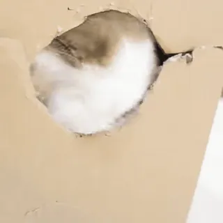 Videosticker | By @Mr7Professor telegram stickers