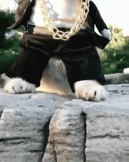 🏵 f13a4ea0 telegram sticker