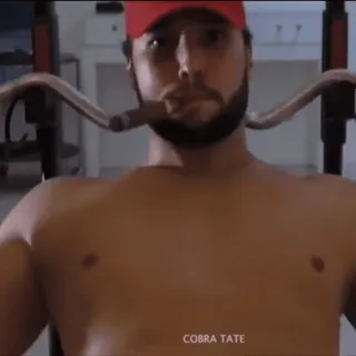 🙄 15781a6d Andrew Tate COBRA TATE Andrew Tate, Fitness, Politica, Uomo, Sigaro telegram sticker