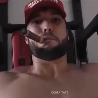 🏋️‍♂️ cde1cd3b MAKE GREAT AGAIN uomo, cappello, sigaro, politica, palestra, sollevamento pesi, fitness telegram sticker