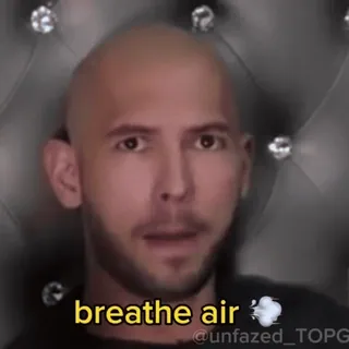 🌟 ecd97b12 breathe air Meme, Respirare, Aria telegram sticker