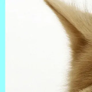 🥰 009367dd telegram sticker