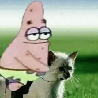 ✨ 7a1193a9 Patrick Star SpongeBob SquarePants patrick étoile, chat, dessin animé, drôle, mème whatsapp sticker