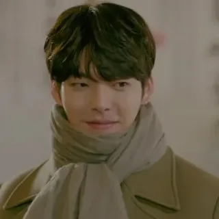 😕 4ce65b38 男人, 围巾, 外套, 冬天, 肖像, 韩国, 演员 telegram sticker