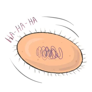 😂 2858c950 HA-HA-HA Cartone animato, Ah ah ah, Risata, Ovale, Scarabocchio telegram sticker