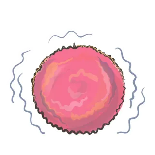 😰 333bab48 palla, rosa, cerchio, vibrazione, movimento, onda telegram sticker