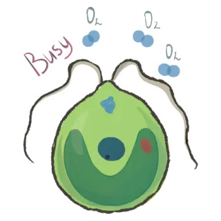 Unicellular stickers telegram stickers