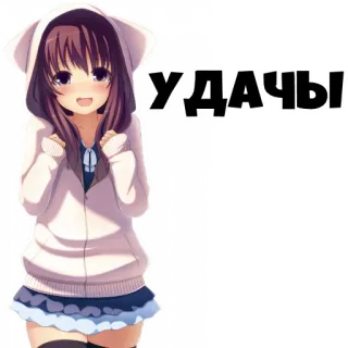 🍀 2dbf5a6c УДАЧИ Аниме, Кошачьи ушки, Толстовка, Милый, Кавай, Удачи, Русский whatsapp sticker