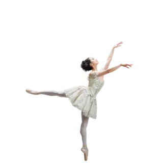 @pink_bowtie ʊŋɨｃσЯŋ🦄🐼 whatsapp stickers