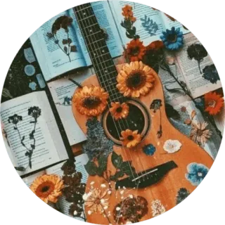 🧸 f20d0150 guitar, flowers, aesthetic, books, nature, floral telegram sticker