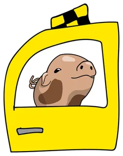 😍 171ffbab świnia, taxi, kreskówka, zwierzę, humor, transport telegram sticker