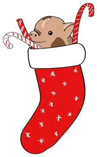 Unlucky @stickersb2b telegram stickers