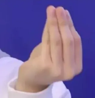 🗣 3c809cf7 оскорбительный жест, итальянский жест, жест рукой, общение telegram sticker