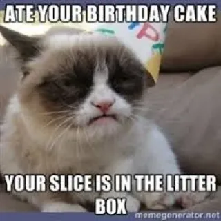 🍰 03e97d85 Grumpy Cat ATE YOUR BIRTHDAY CAKE
YOUR SLICE IS IN THE LITTER BOX mèo gắt gỏng, mèo, sinh nhật, bánh kem, meme, hài hước telegram sticker