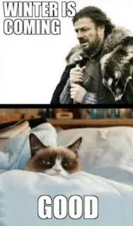 ❄ 1677f1e6 Grumpy Cat Game of Thrones WINTER IS COMING, GOOD meme, mùa đông, mèo, cáu kỉnh, hài hước, Game of Thrones telegram sticker