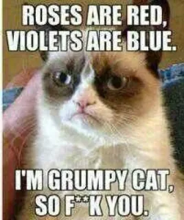 🌹 2fc158bc Grumpy Cat ROSES ARE RED,
VIOLETS ARE BLUE.
I'M GRUMPY CAT,
SO F**K YOU. mèo cau có, meme, mèo, hoa hồng đỏ, hài hước, vui nhộn telegram sticker