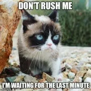 ⚡ 33c5b3d2 Grumpy Cat DON'T RUSH ME
I'M WAITING FOR THE LAST MINUTE mèo, gắt gỏng, meme, hài hước, vui nhộn, trì hoãn, phút cuối telegram sticker
