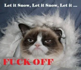 ❄ 4d349ca5 Grumpy Cat Let it Snow, Let it Snow, Let it ...
FUCK OFF mèo cau có, meme, tuyết, mùa đông, mèo, hài hước, biến đi telegram sticker