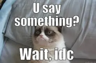 😐 4ee0dcfc Grumpy Cat U say something? Wait, idc mèo cau có, meme, mèo, hài hước, mỉa mai, không quan tâm, meme internet telegram sticker