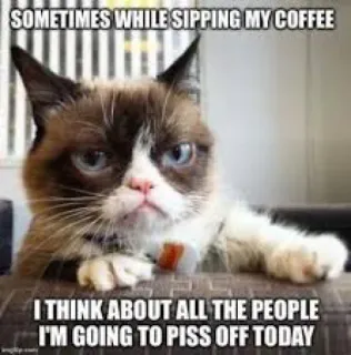 Grumpy Cat Edition 2🐾
@EdwinLove telegram stickers