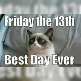 Grumpy Cat Edition 2🐾
@EdwinLove telegram stickers