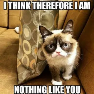 😏 8ba574ba Grumpy Cat I THINK THEREFORE I AM
NOTHING LIKE YOU mèo, cau có, meme, hài hước, mỉa mai, động vật, thú cưng telegram sticker