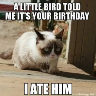 😋 9fa6b746 Grumpy Cat A LITTLE BIRD TOLD ME IT'S YOUR BIRTHDAY
I ATE HIM mèo cau có, sinh nhật, mèo, meme, hài hước, động vật, hài hước telegram sticker