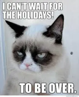 😜 a5a6c2bb Grumpy Cat I CAN'T WAIT FOR THE HOLIDAYS! TO BE OVER. mèo, gắt gỏng, kỳ nghỉ, meme, hài hước, vui nhộn telegram sticker