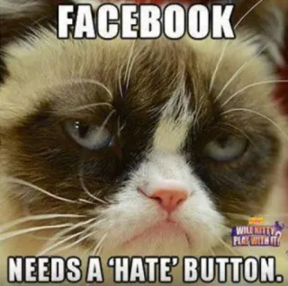 🤧 c8367efe Grumpy Cat FACEBOOK NEEDS A 'HATE' BUTTON. Meme, Ghét, Grumpy Cat, Facebook, Internet, Hài hước telegram sticker