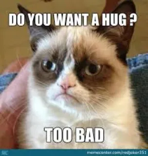 🤗 d369c9fb Grumpy Cat DO YOU WANT A HUG ?
TOO BAD mèo, gắt gỏng, meme, hài hước, tính hài hước, ôm, mỉa mai telegram sticker