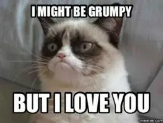 ❤ d6282f7d Grumpy Cat I MIGHT BE GRUMPY
BUT I LOVE YOU mèo, gắt gỏng, meme, hài hước, yêu, mèo gắt gỏng, động vật telegram sticker